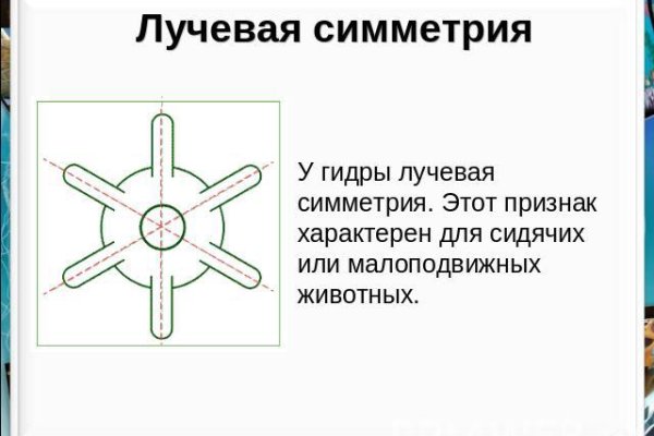 Кракен перейти