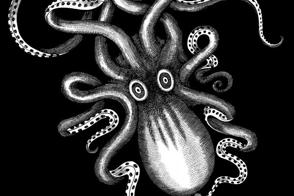 Ссылка на kraken торговая площадка
