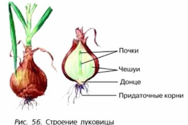 Кракен мефедрон